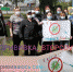 В Сургуте подвели итоги челленджа #прививка_stopcovid - Департамент Здравоохранения