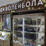 В Нижневартовске запланировано открытие Музея волейбола - ИД Новости Югры