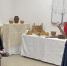 Праздник Русского богатырства в Сургуте - Ханты-Мансийская Митрополия