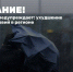 Березовский район в субботу может накрыть сильный ливень - ИД Новости Югры
