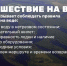 На моторной лодке в ХМАО рыбак убился о дерево - Комсомольская Правда