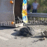 На Тюменском тракте в Сургуте насмерть разбился водитель «ВАЗа» - Комсомольская Правда