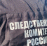 В Ханты-Мансийске устанавливаются обстоятельства гибели 7-месячного ребенка - Следственный комитет