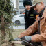В Сургуте высадили более 1200 деревьев с 2024 года в рамках экологической акции - РИЦ Югра