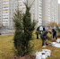 В Сургуте появилась еще одна «Аллея предпринимателей» - ИД Новости Югры