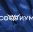 sofium.jpg - Избирательная комиссия