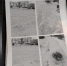 img - ЛДПР