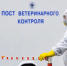 Ветслужба Югры отличилась высокими технологиями и федеральными наградами в 2025 году - ИД Новости Югры
