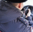 Власти Югры на 20 тысяч рублей повысят зарплаты силовикам - Комсомольская Правда