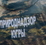 Субботники, велопробеги и международные форумы: в Югре утвердили программу акции «Спасти и сохранить - 2026» - РИЦ Югра