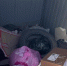 img - ЛДПР